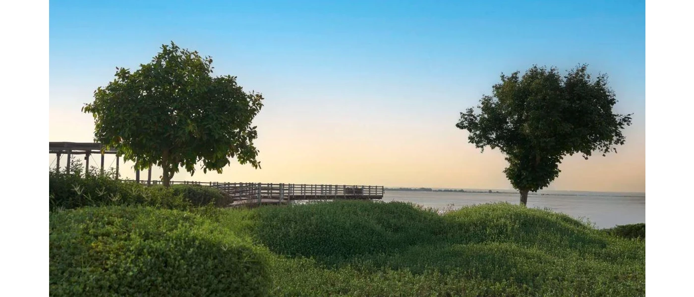 Thick mangroves and trees lead down to the sea with a wooden jetty jutting out into the waves