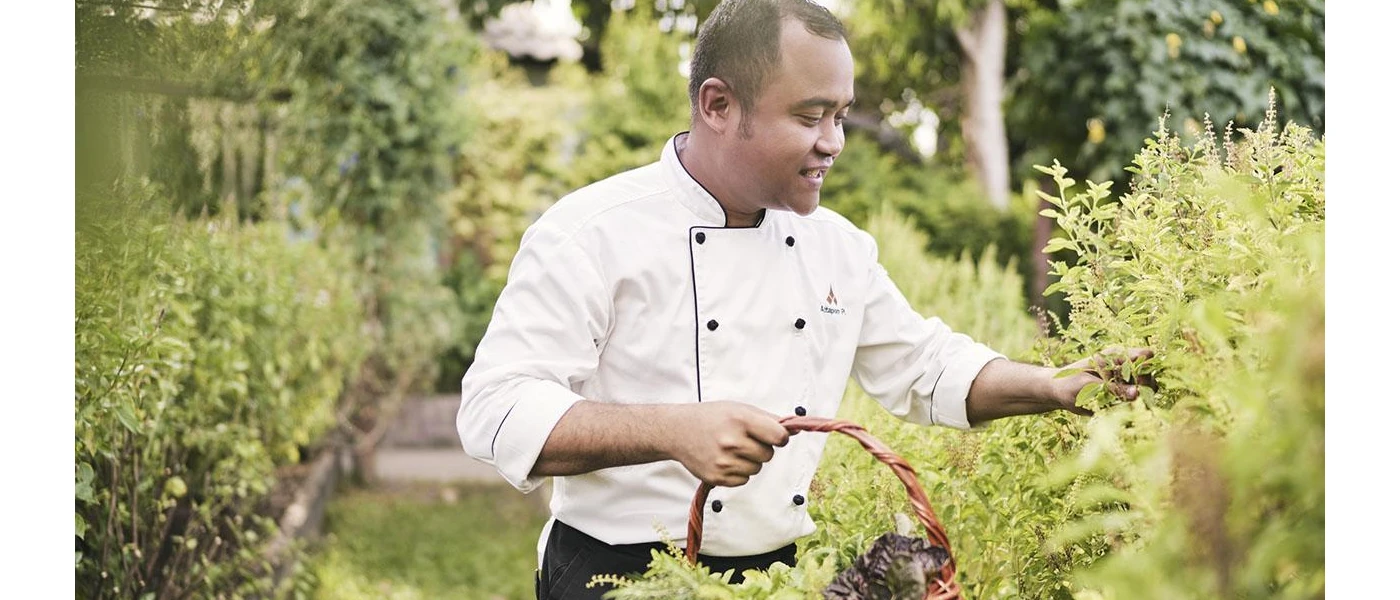 A chef in whites picks ingredients from a lush kitchen garden