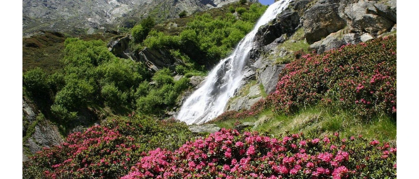 Waterfall cascades down a lush hillside cloaked in pink flowers