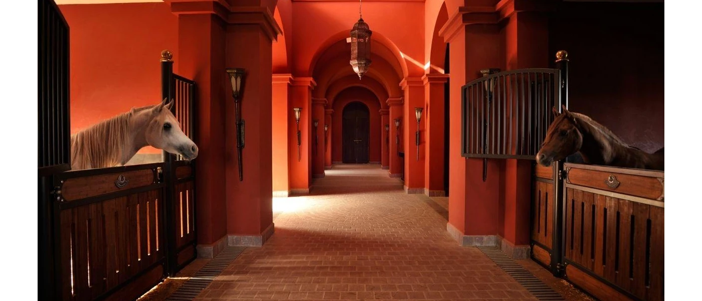 White and brown horses in stables with terracotta walls and Arabic archways