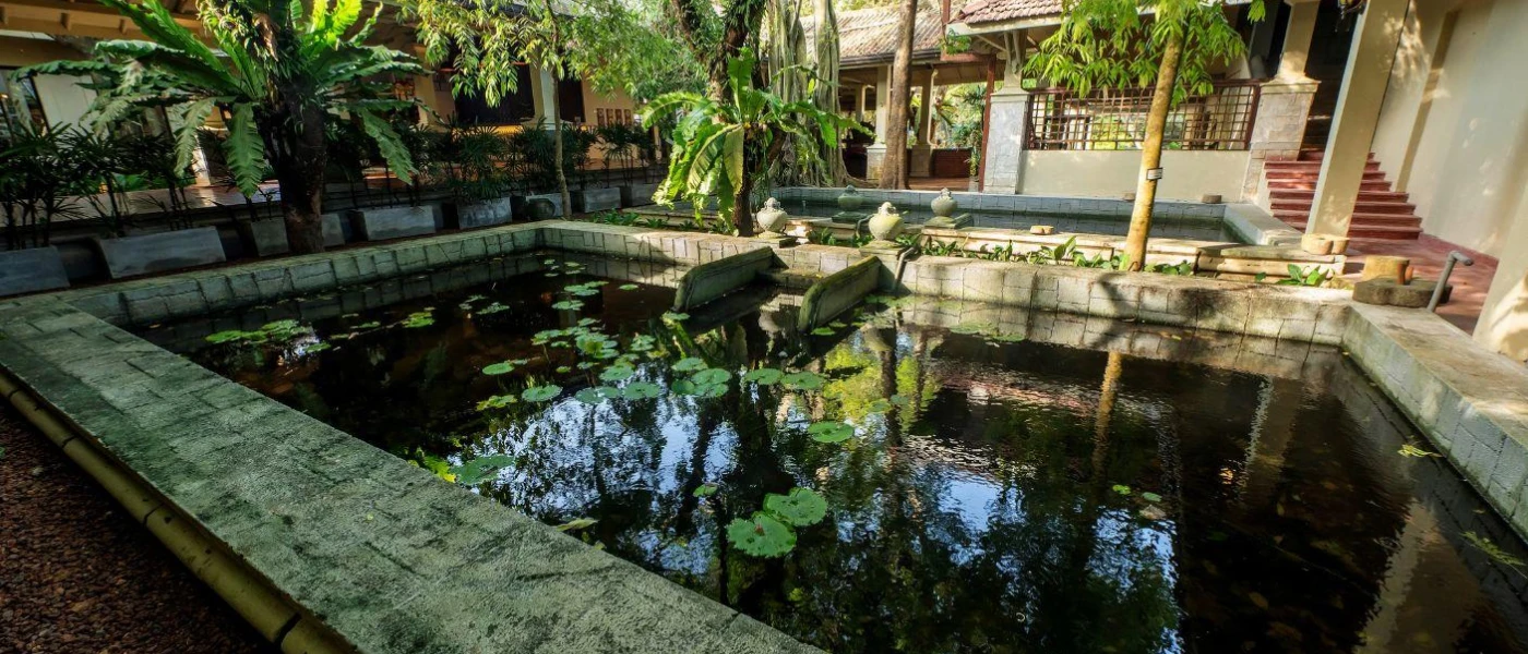 Pond with lily pads in a stone courtyard filled with trees