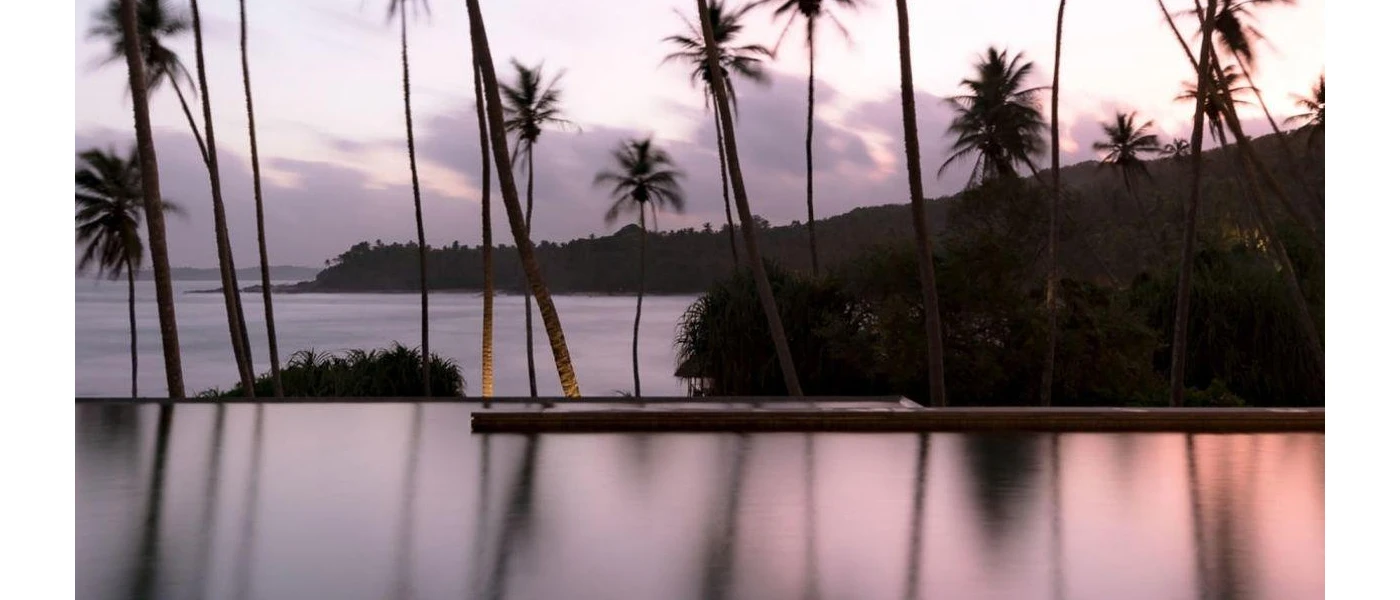 Infinity pool edge overlooking a coconut grove, sloping palm trees and the ocean just beyond