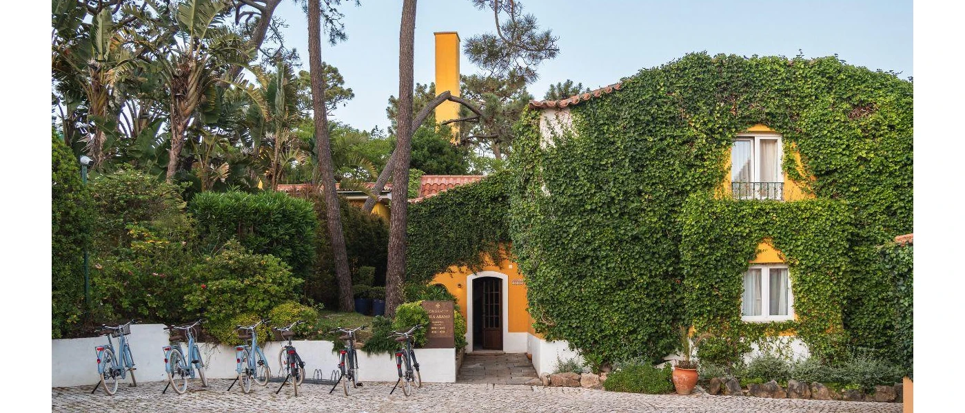 Rustic yellow farmhouse cloaked in ivy, with terracotta roof tiles and bikes lined up in front
