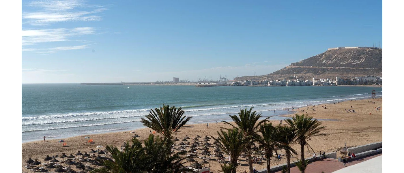 Golden sandy beach backed by palm trees and with a view of the ocean and hills in the distance, with sunbeds lined up on the sand