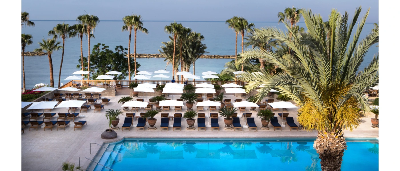 Rectangular pool with the sea in the background, surrounded by palm trees and loungers with navy cushions