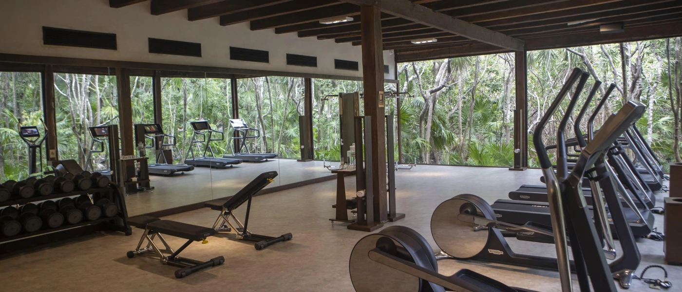 Gym with a wall of mirrors and a wall of floor-to-ceiling windows showcasing the jungle beyond, with treadmills, bikes, weights and benches