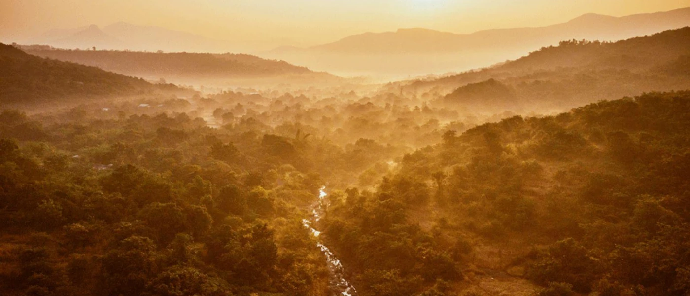Misty forested peaks 