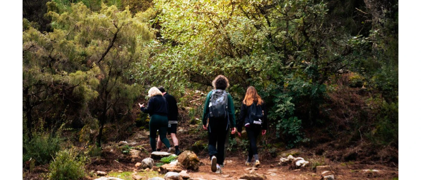 Group in active wear and rucksacks walk through a leafy forest