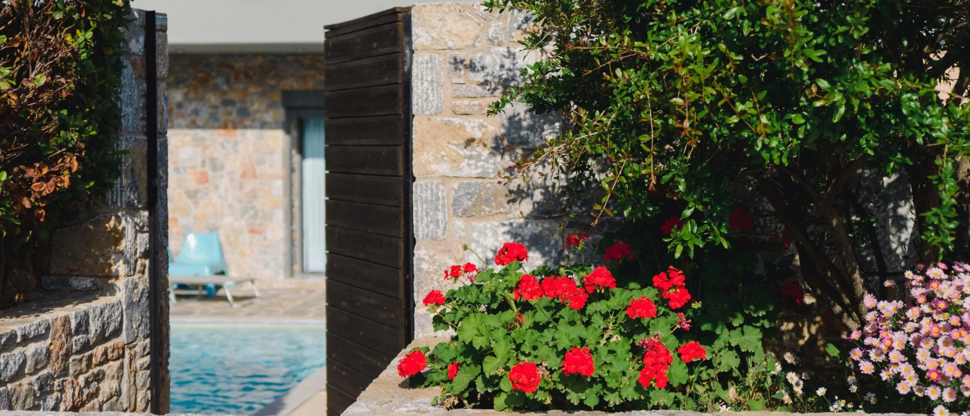 Cobbled stone courtyard with a wooden door, green shrubs and pink and red flowers