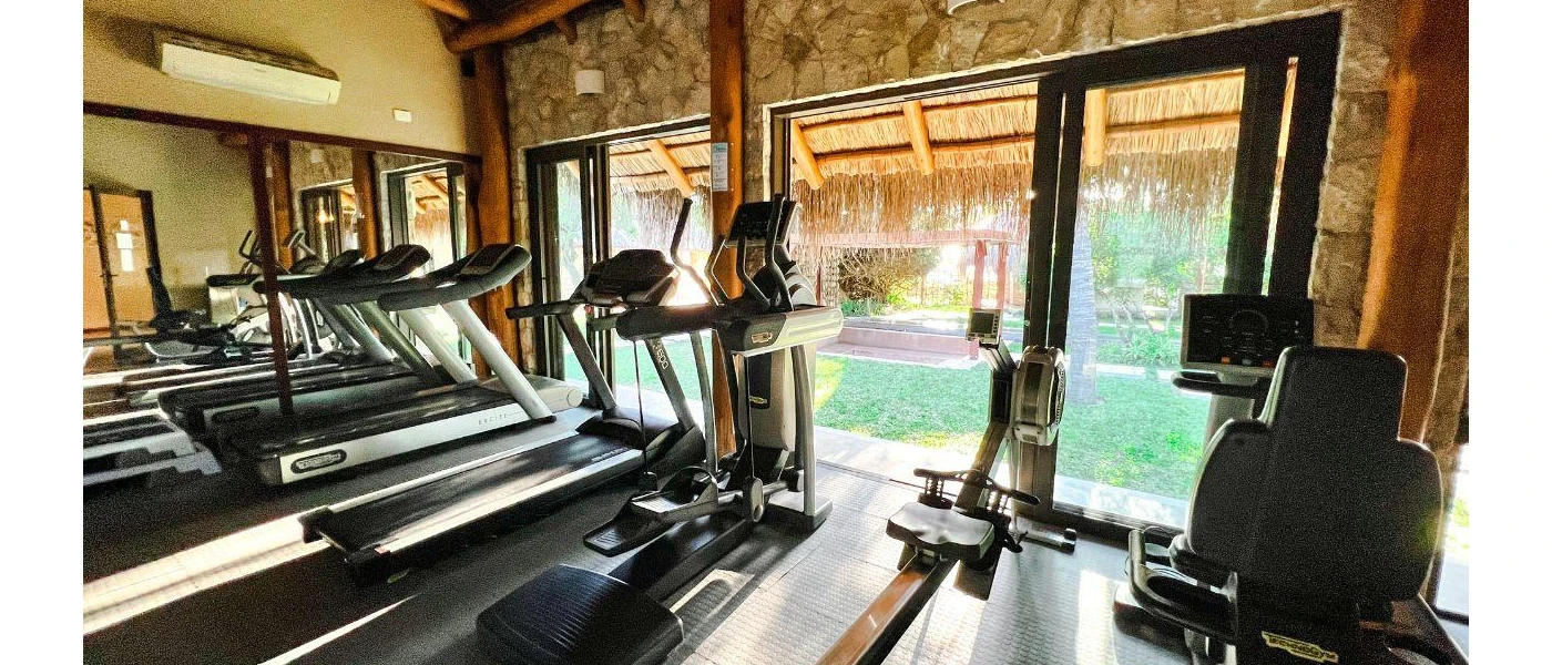 Treadmills and rowing machine in a gym with stone walls