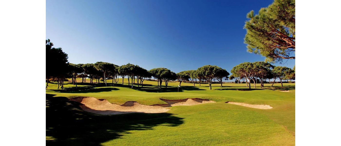 Golf greens lined with trees under a bright blue sky