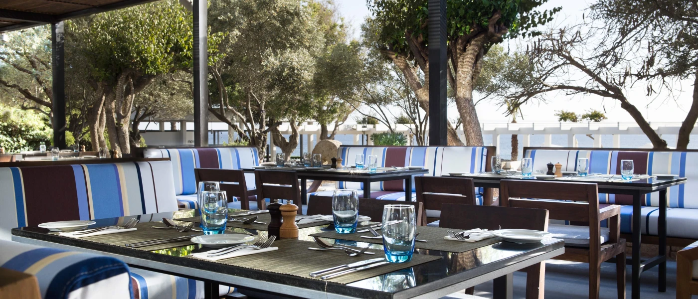 Sea-facing terrace lined with trees and covered in tables set up for diners, with blue and white cushioned seating