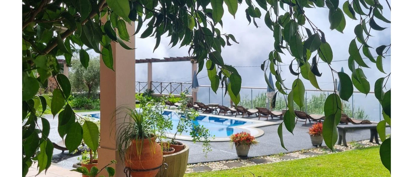 Garden with a lawn, trees and outdoor pool surrounded by pots of flowers