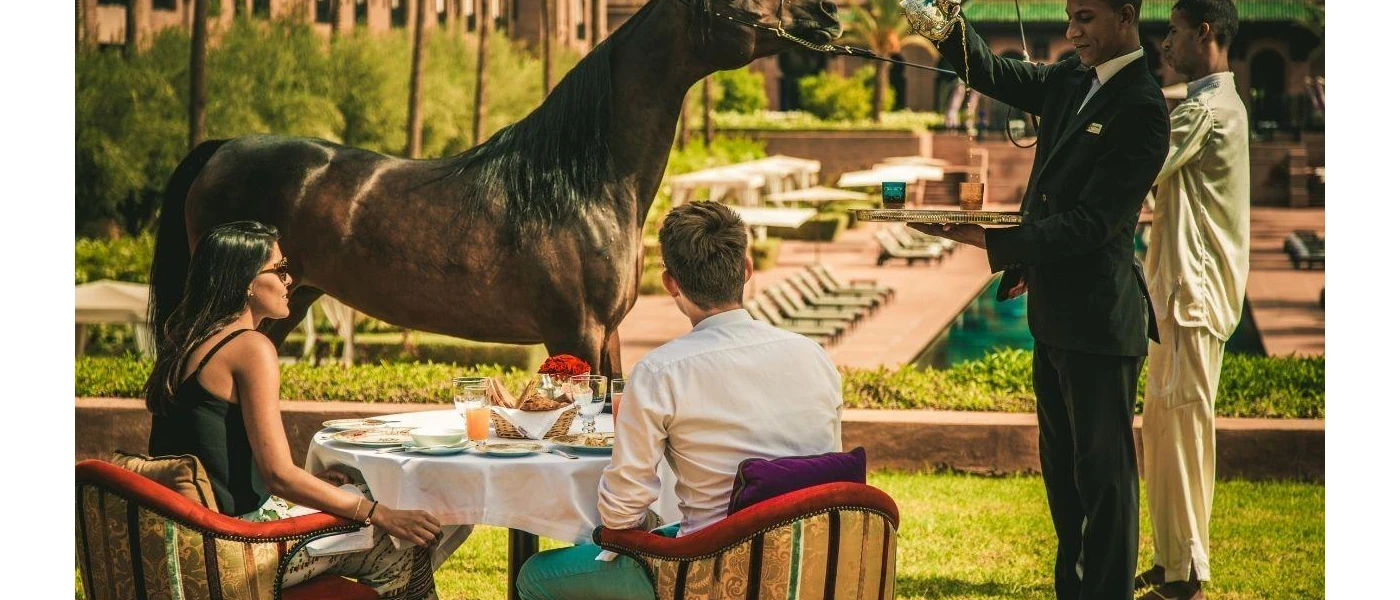Staff demonstrating with an Arabian horse while a couple enjoy a meal and watch on