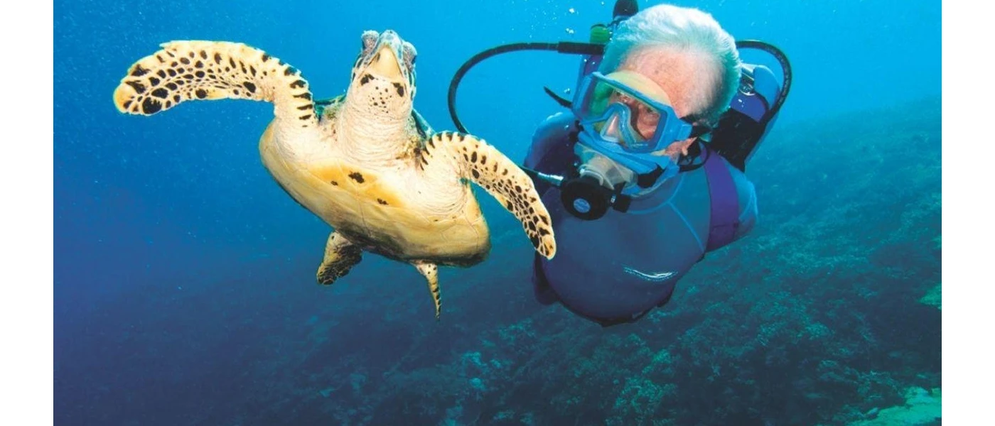 Scuba diver swimming behind a turtle 