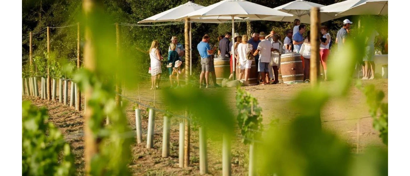 Group in summer clothes including hats and shorts socialise under white parasols among greenery