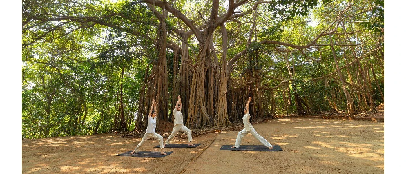 Group in light, loose fitting clothes in a yoga class under an big bodhi tree