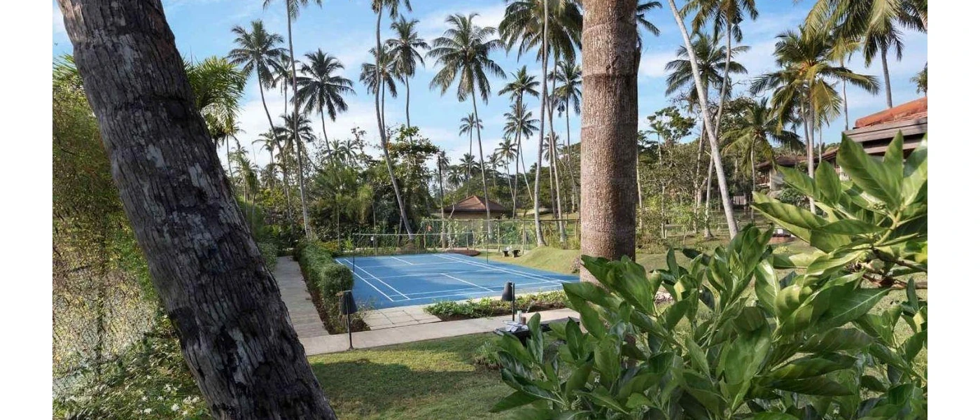 Blue tennis court in a tropical garden filled with palm trees under a blue sky