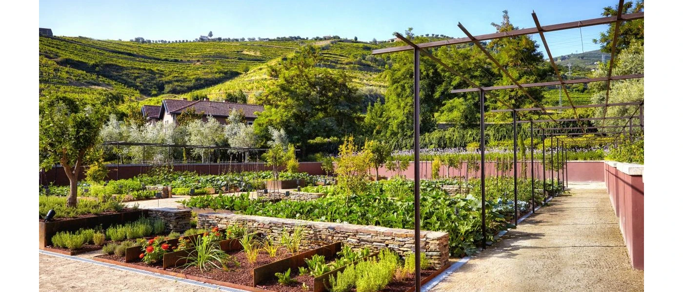 Six Senses Douro Valley