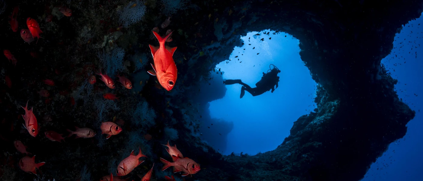 Scuba diver underwater among rocks and orange fish