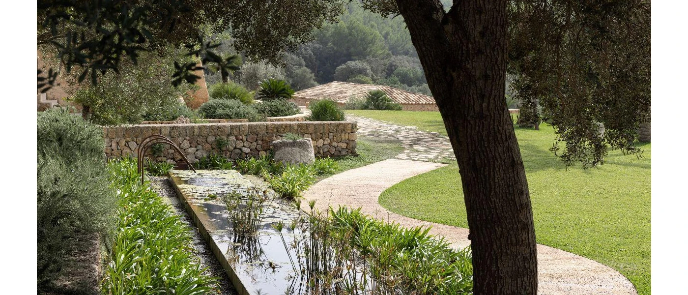 Path next to a green lawn and surrounded by trees 