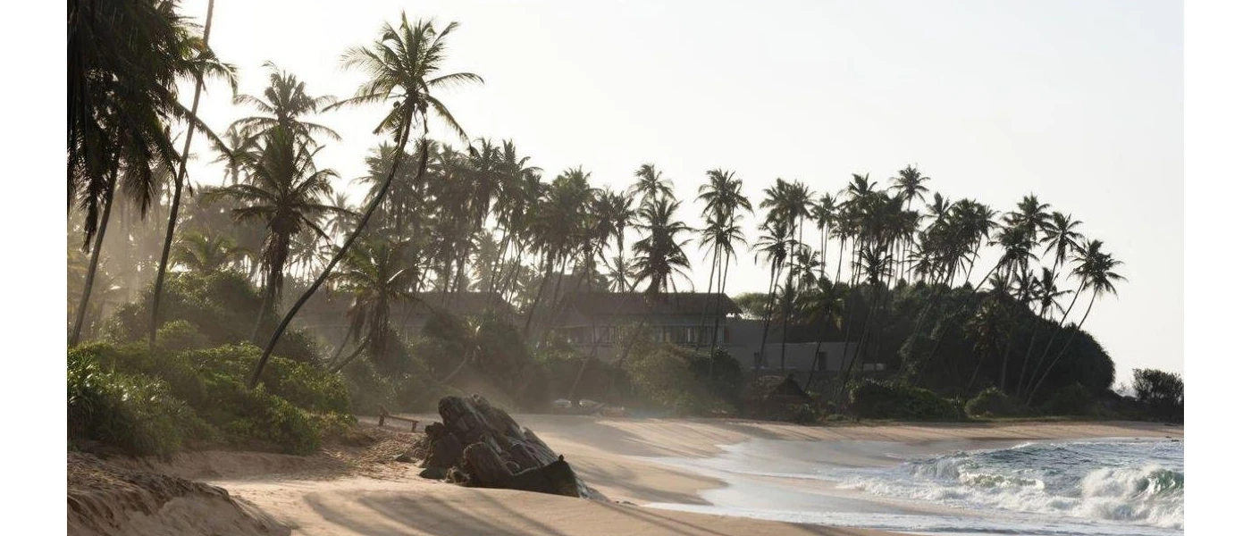 A golden sandy beach edged by a coconut grove and washed by the waves