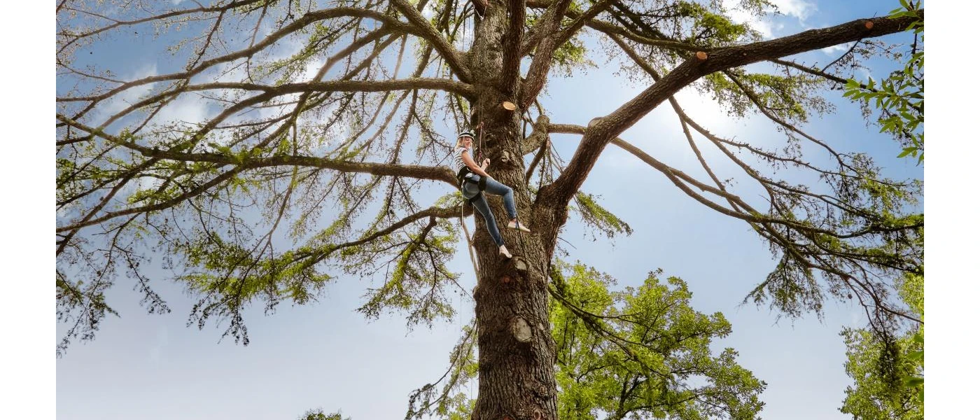 Six Senses Douro Valley