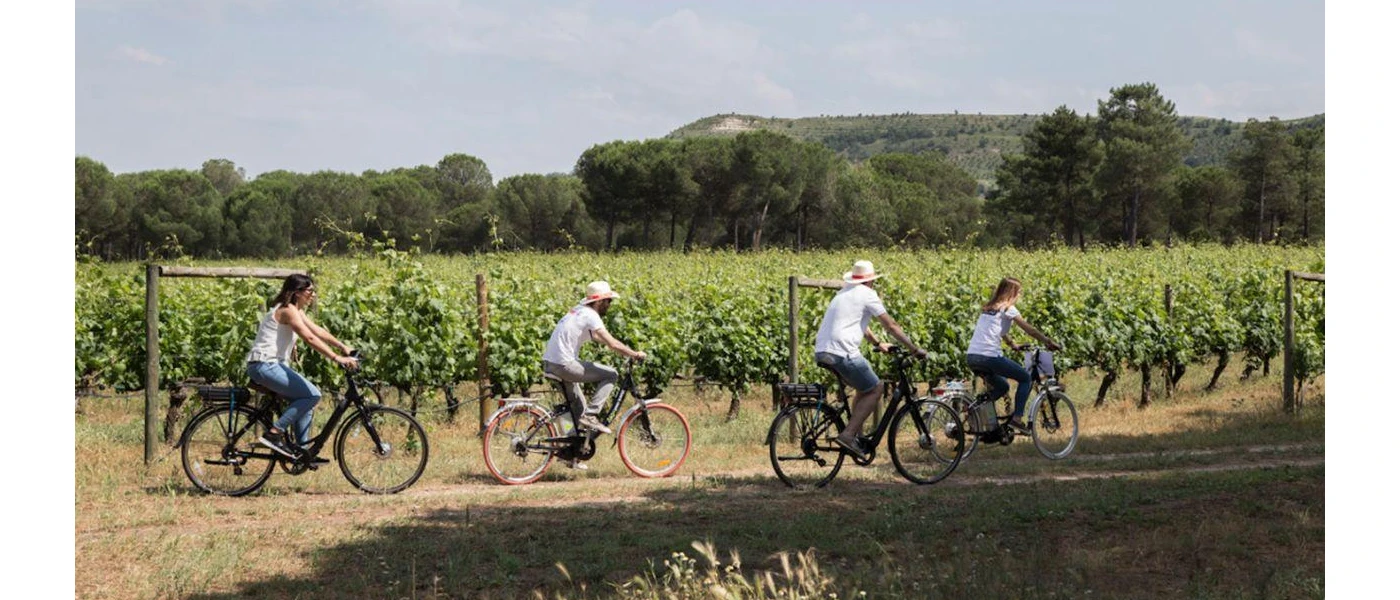 Group of four cycling in the sunny countryside under a blue sky 