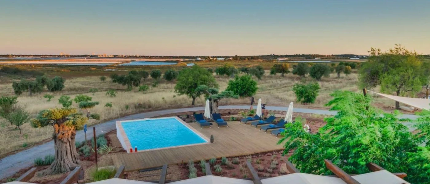 Aerial view of a swimming pool surrounded by loungers and parasols, surrounded by greenery