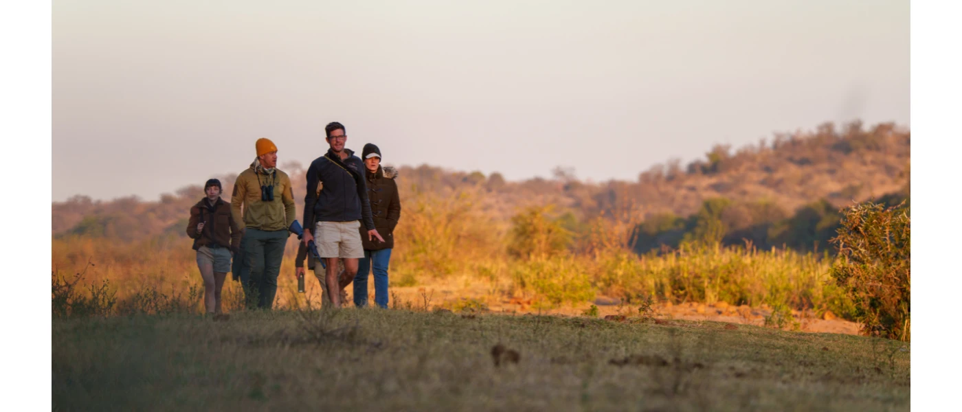 Group in safari attire walk through the African wilderness as the sun dips 