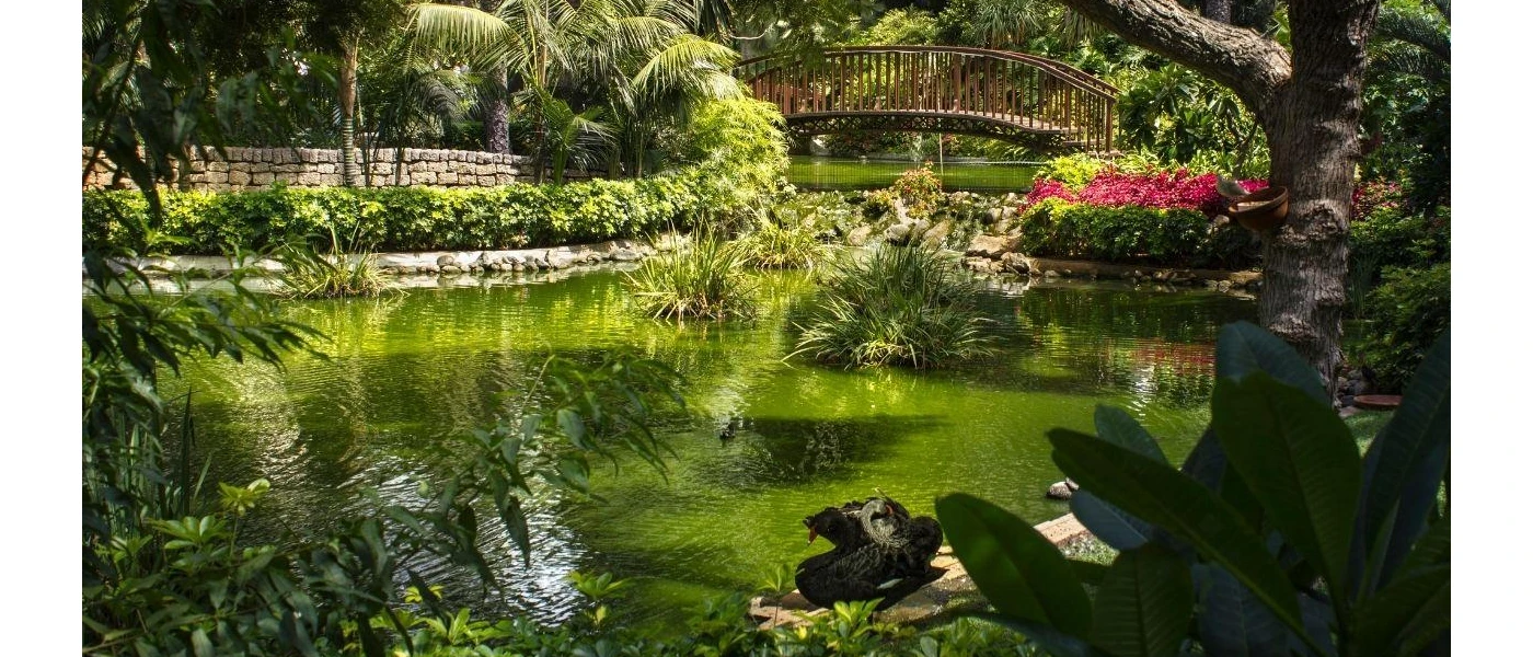 Lake surrounded by tropical blooms and greenery and criss-crossed by a wooden bridge