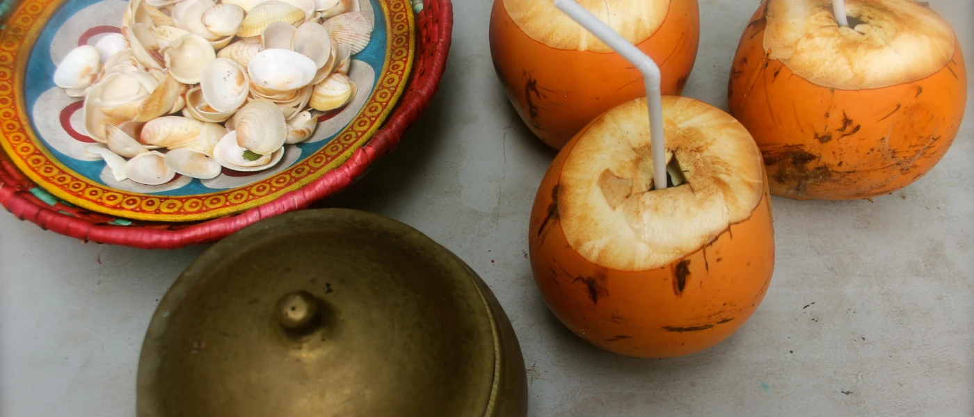 A bowl of shells next to three coconuts with straws 
