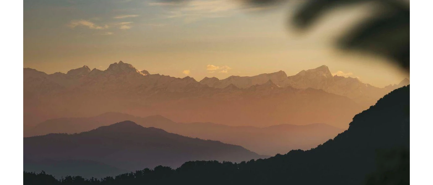 Misty mountain peaks as seen from behind a palm tree