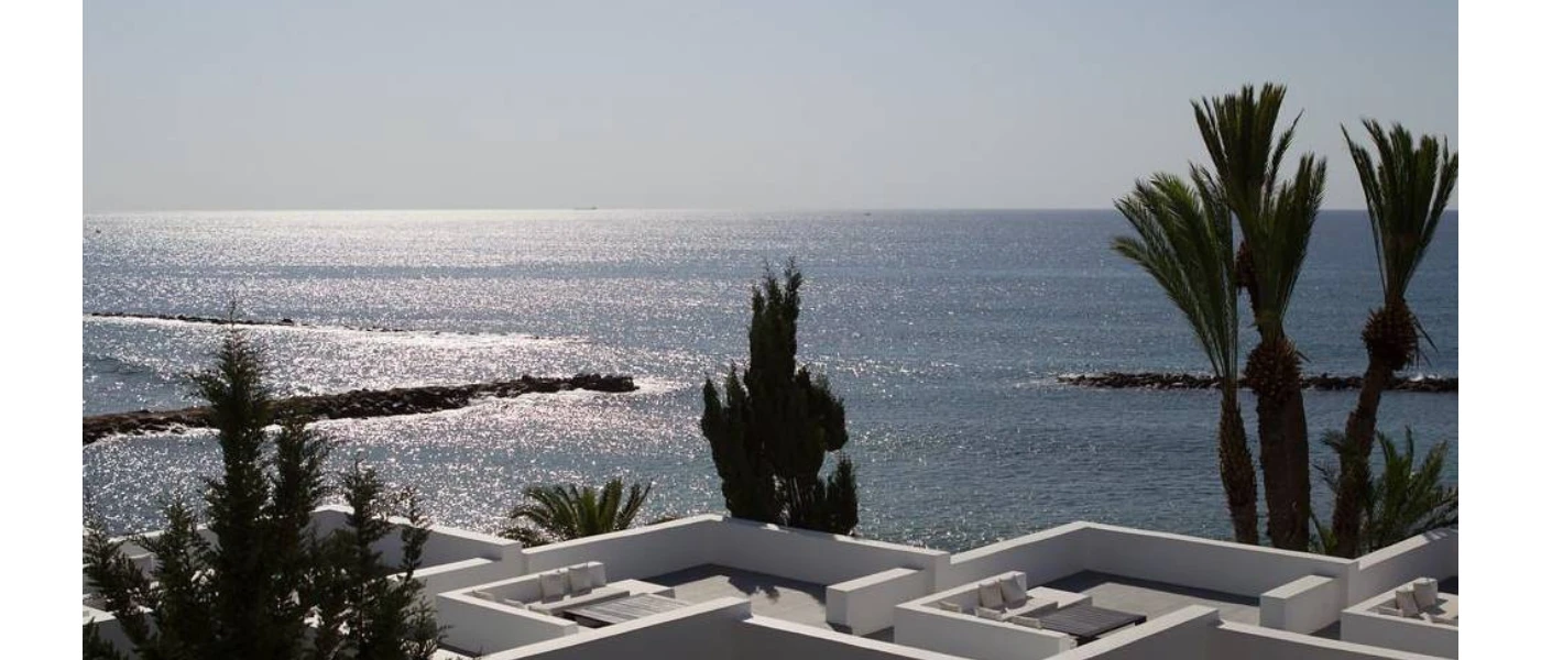 Sleek white seating areas overlooking the ocean and palm trees on a sunny day