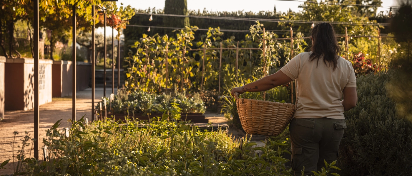 Lady walking in a garden with a huge basket collecting plants and vegetables 
