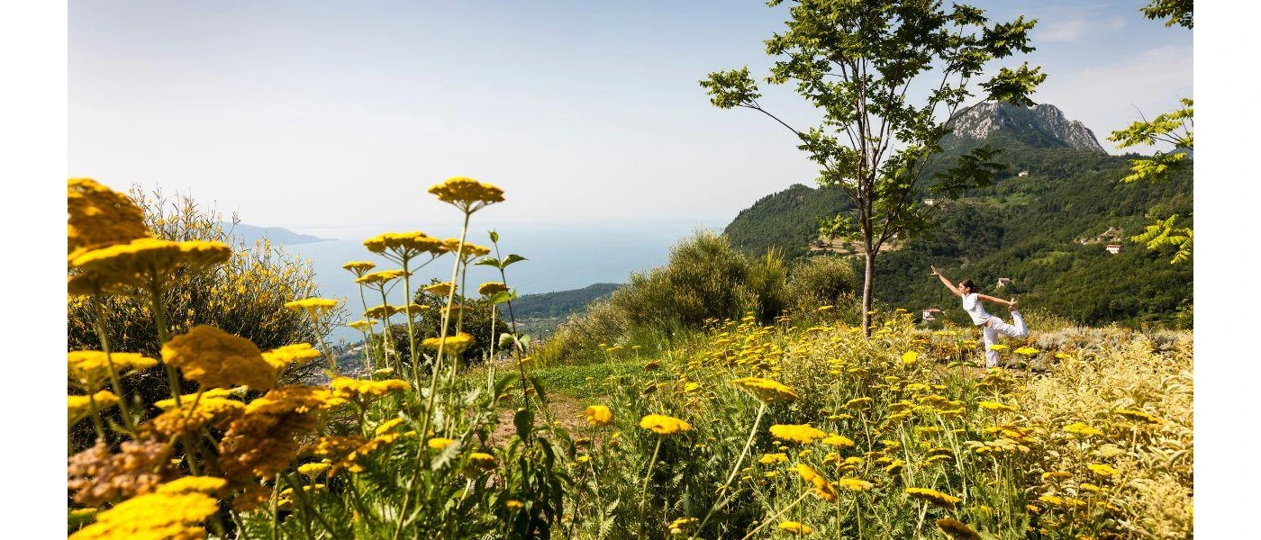 Woman in active wear stretching in a grassy field with trees and wildflowers