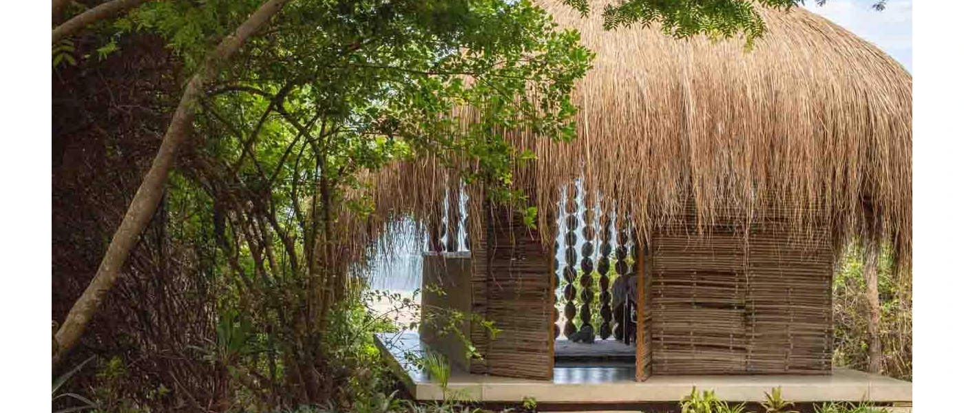Thatched-roof wooden hut surrounded by tropical greenery