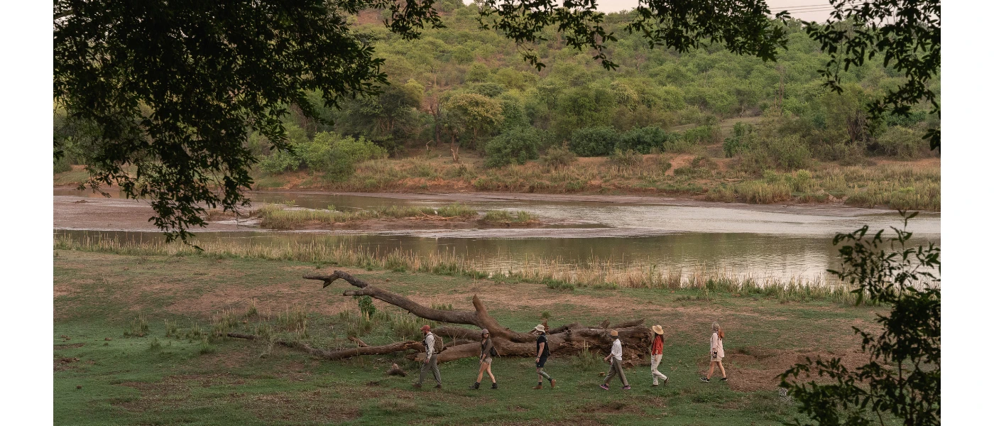 Line of people walk through the African wilderness