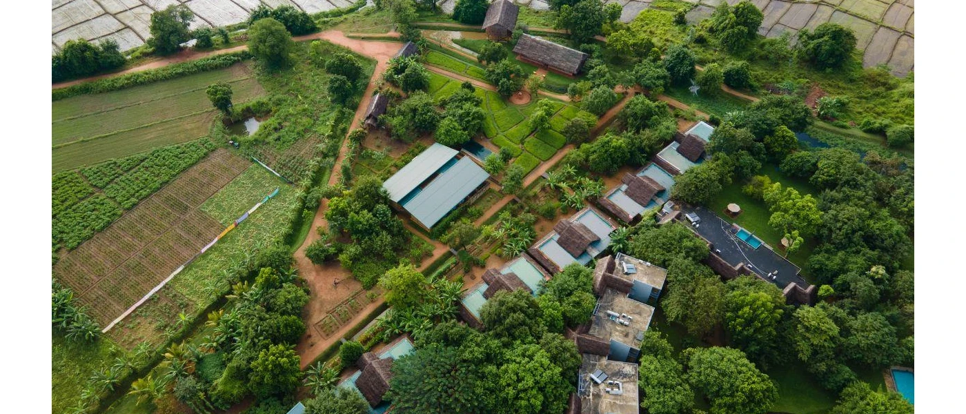Aerial view if Ayurvie Sigiriya, paddy fields and greenery speckled with thatched-roof buildings