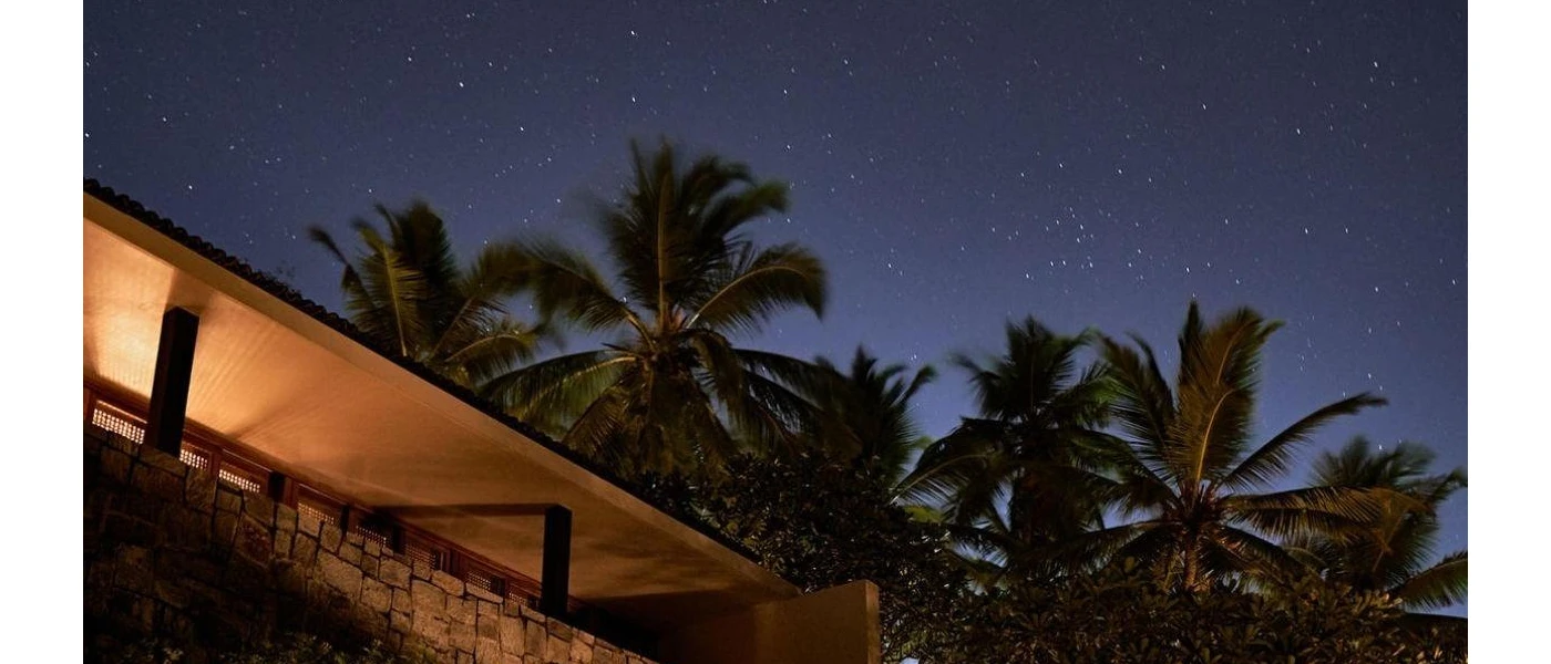 Palm trees under a dark starry sky next to a warmly lit stone-walled terrace