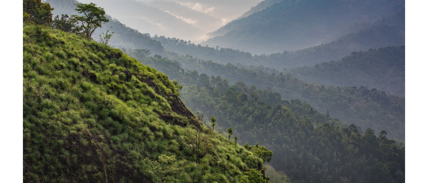 Forest-cloaked hills on the outskirts of Kerala, India