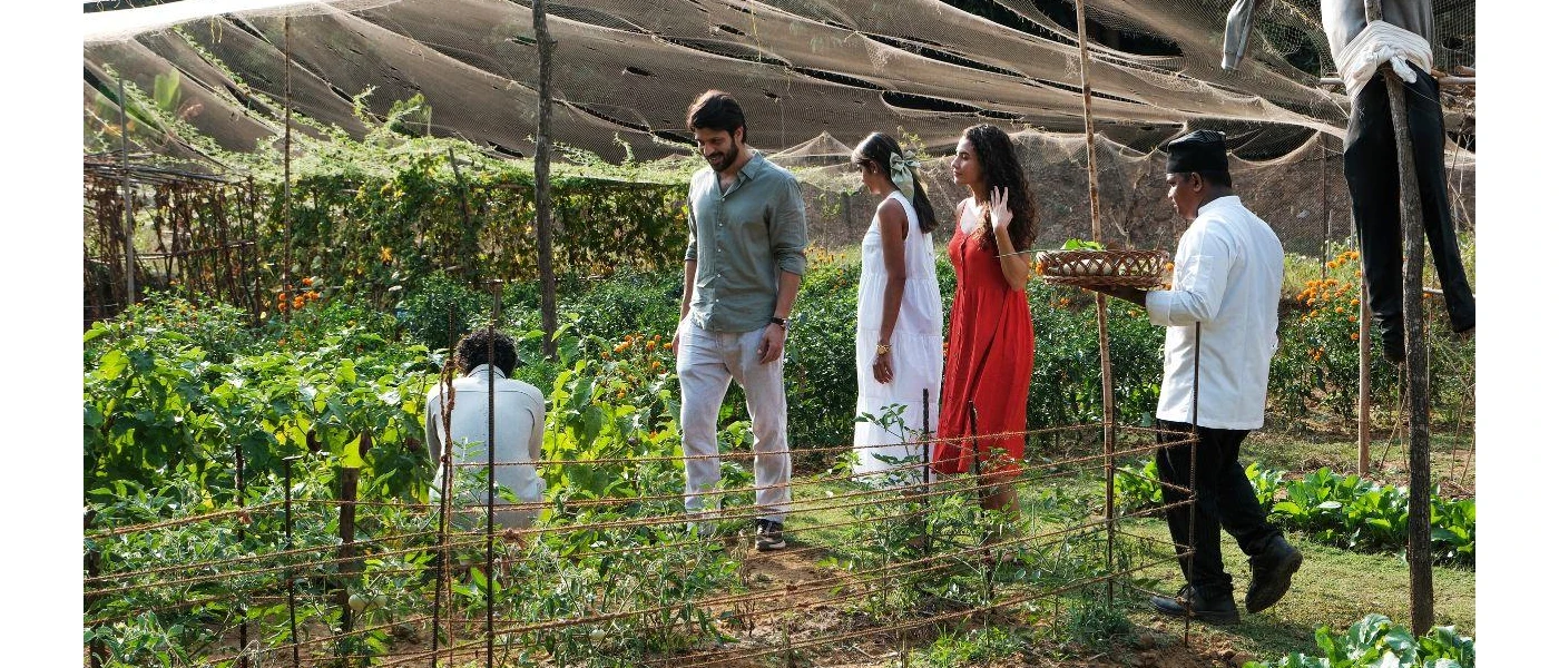 Guests are picking vegetables and herbs before their cooking class accompanied by chefs