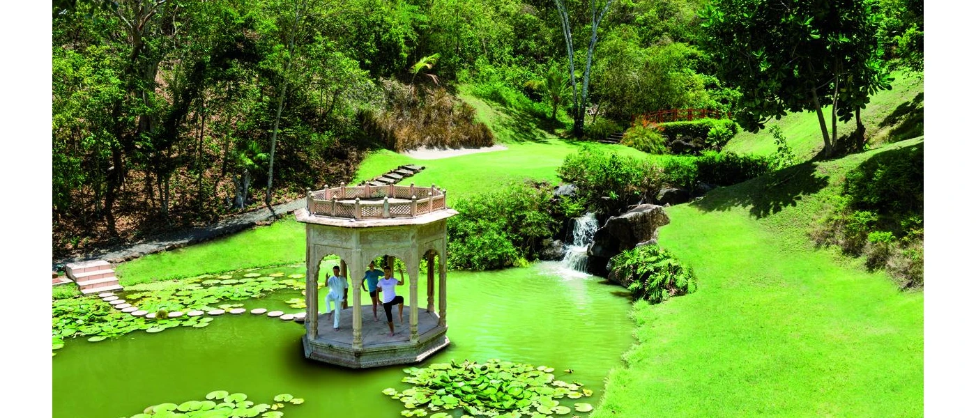 Serene water feature surrounded by lush garden greenery