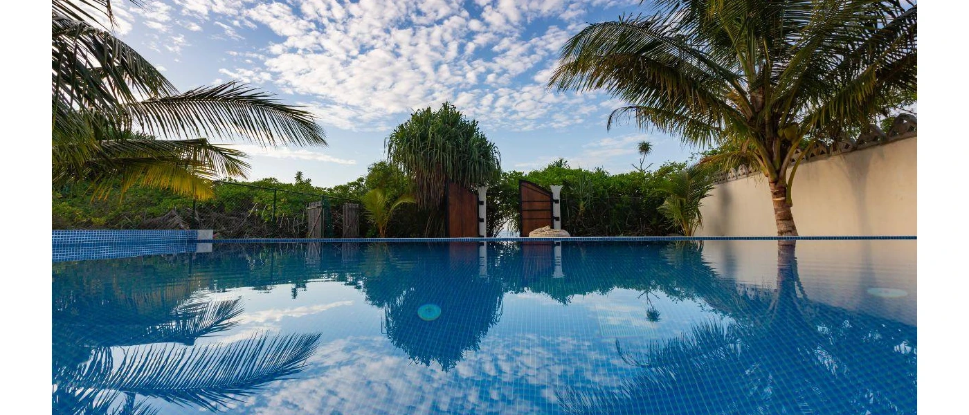 Swimming pool surrounded by palm trees and bushes under a blue sky with white clouds