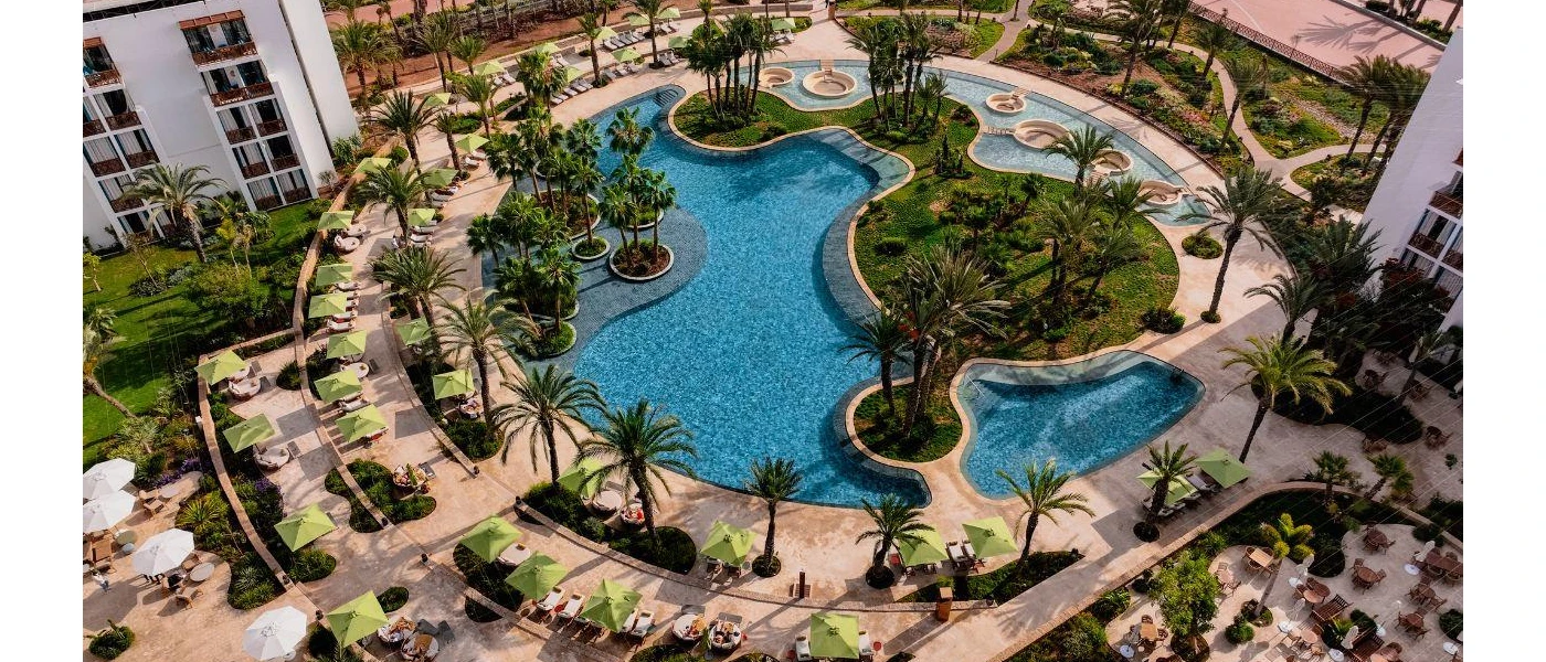 Aerial view of a swimming pool surrounded by palm trees and shrubs, loungers and sunbeds