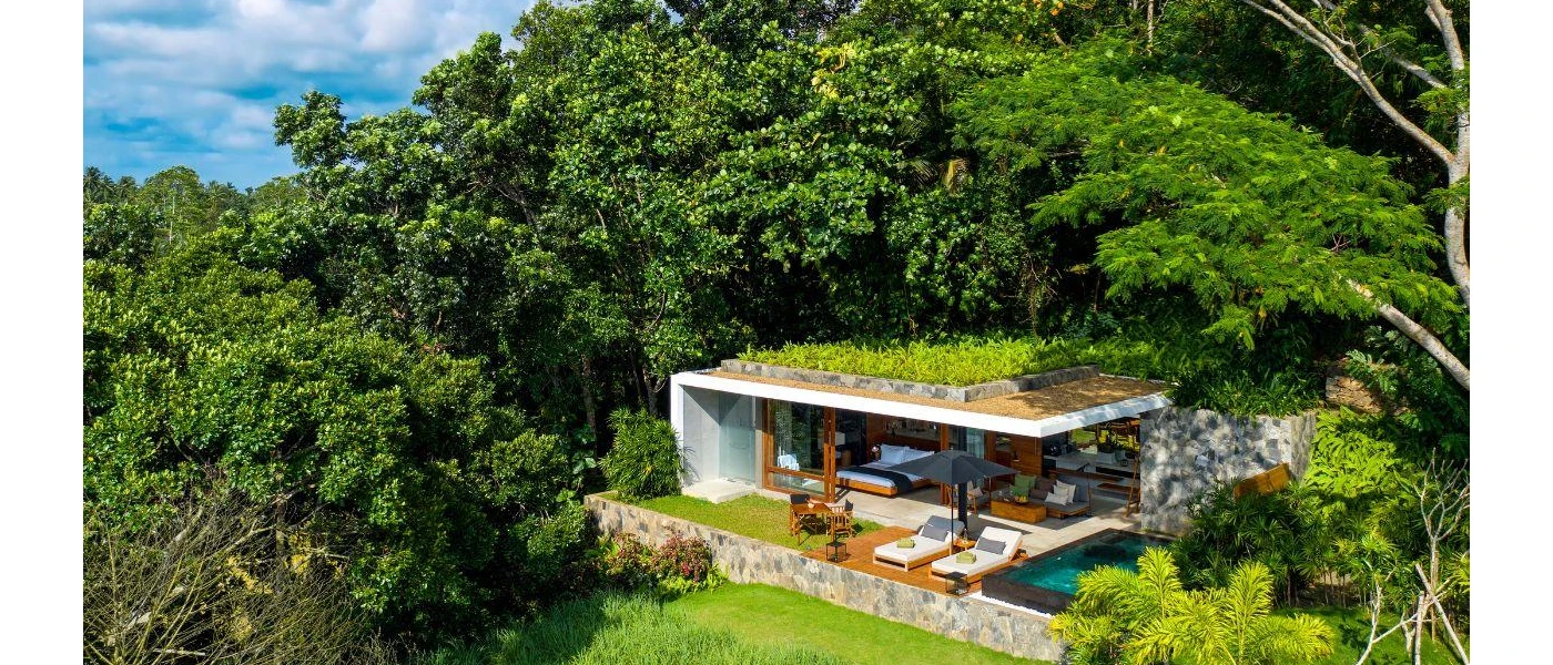 Villa covered in and surrounded by greenery, with a bed overlooking the view and a wooden terrace with cushioned loungers and a pool