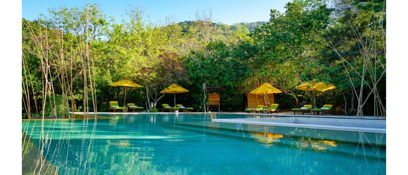 Outdoor pool surrounded by trees, yellow umbrellas and yellow-cushioned loungers