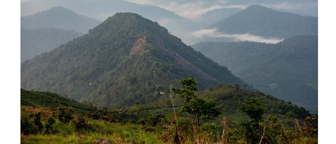 Lush green hills and forest with low-hanging clouds