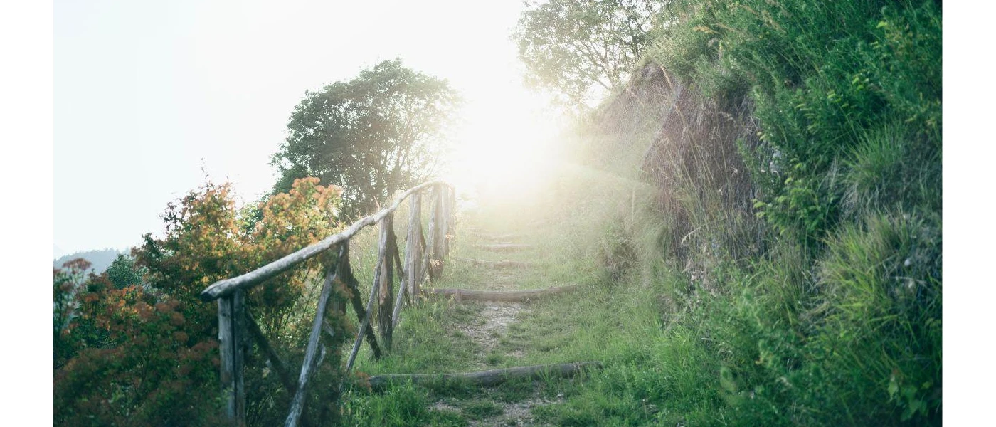 Green trail winding uphill next to a wooden fence surrounded by trees