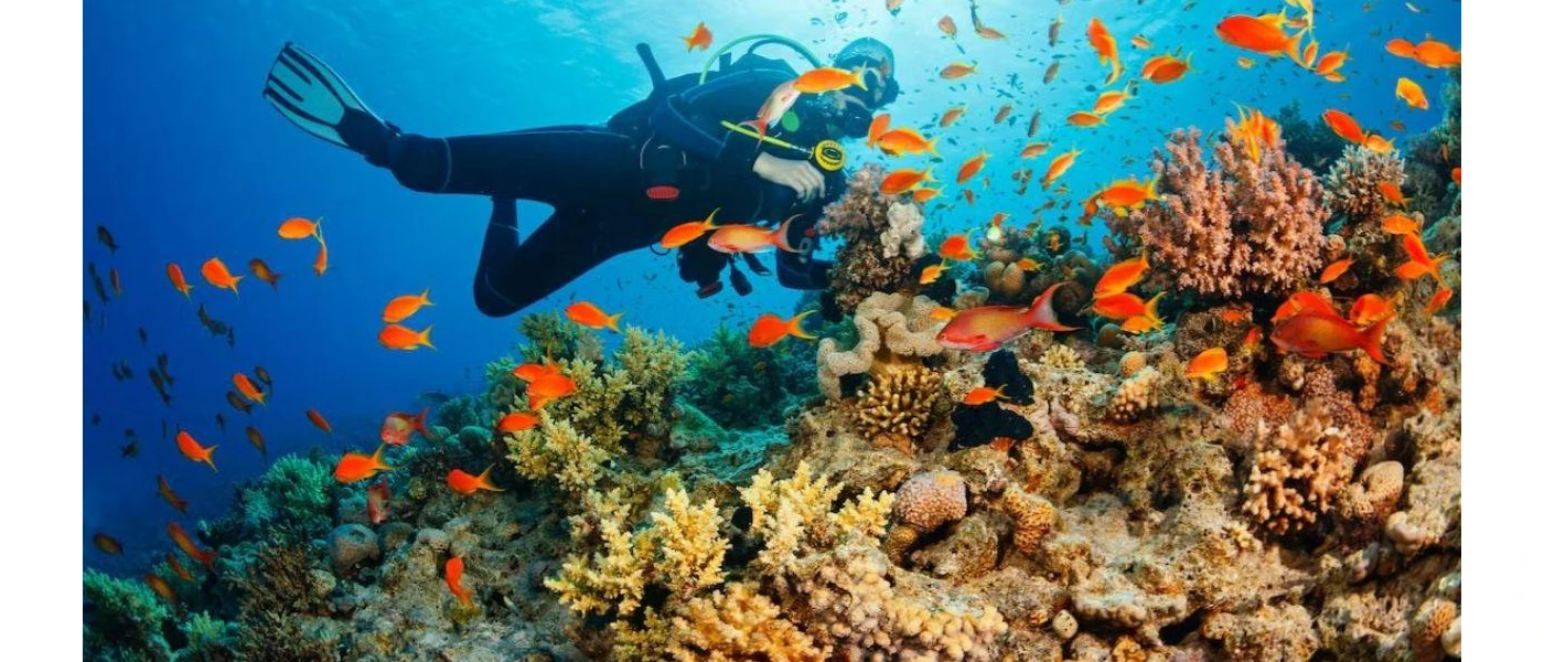 Man in diving attire exploring a coral reef with orange fish